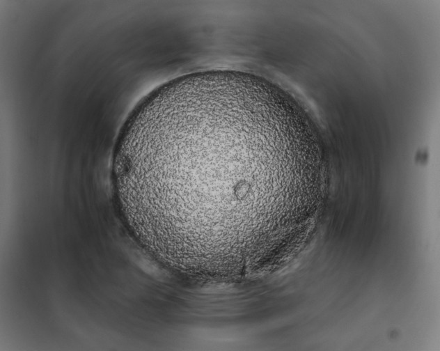 X0000101681174200807241338