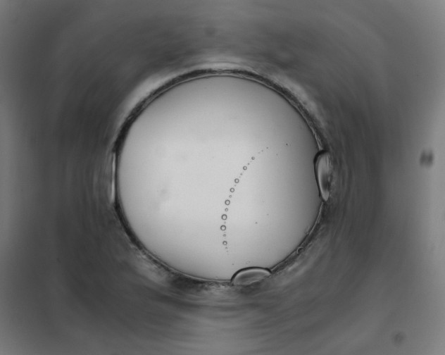 X0000101681175200807241338