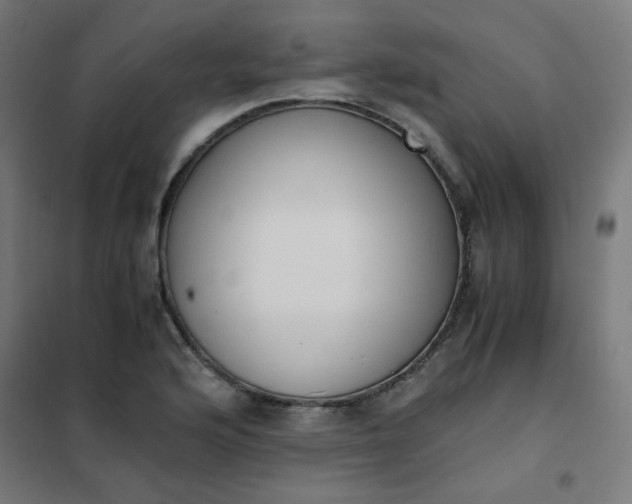 X0000101681176200807241338