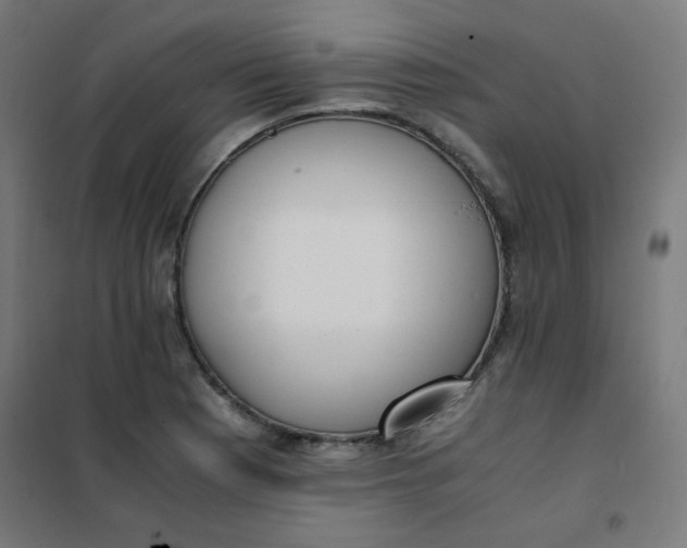 X0000101681177200807241338