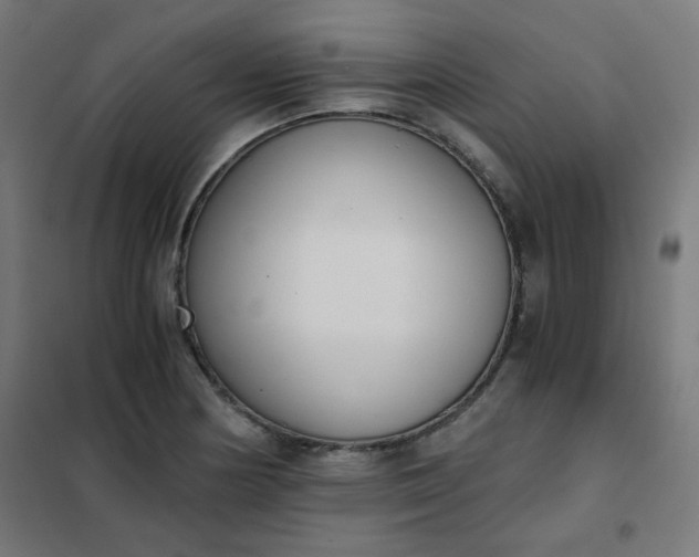 X0000101681178200807241338