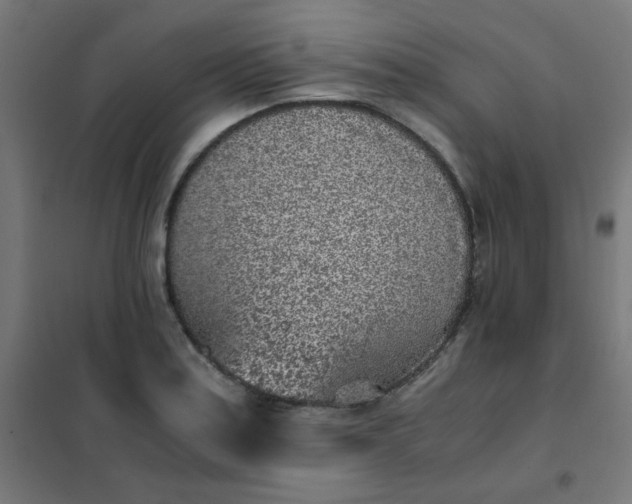 X0000101681179200807241338