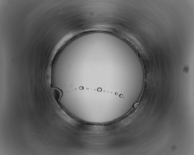 X0000101681180200807241338