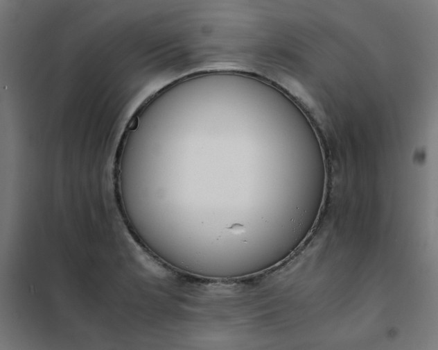 X0000101681181200807241338