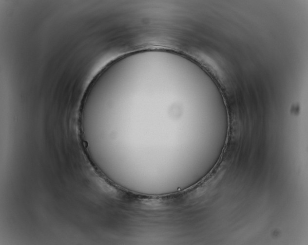 X0000101681182200807241338