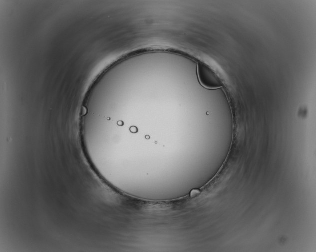 X0000101681183200807241338