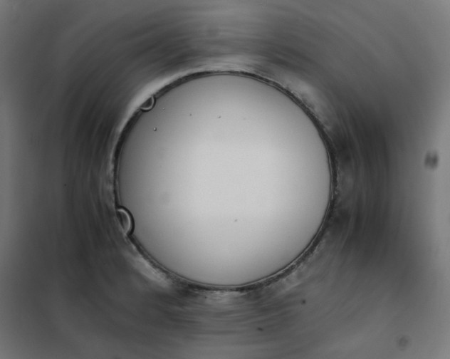 X0000101681184200807241338