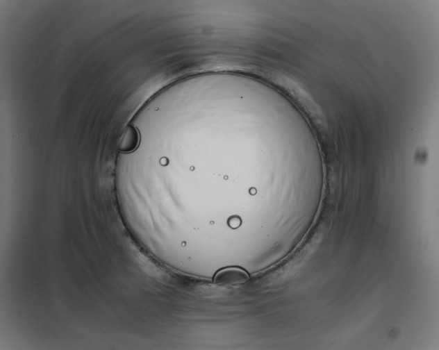 X0000101681185200807241338