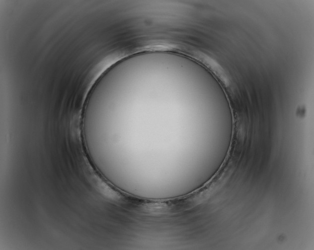 X0000101681186200807241338