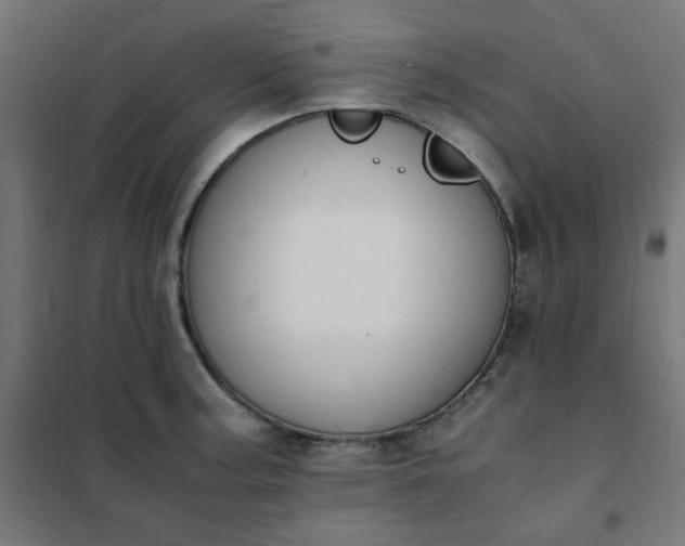 X0000101681187200807241338