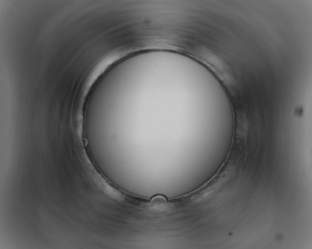 X0000101681188200807241338