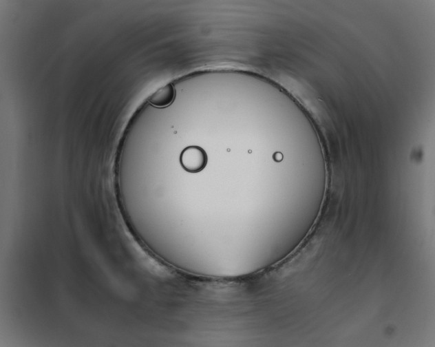 X0000101681189200807241338