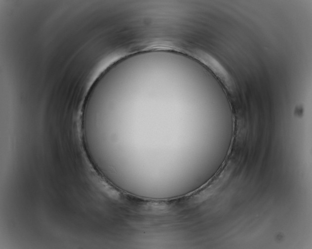 X0000101681190200807241338