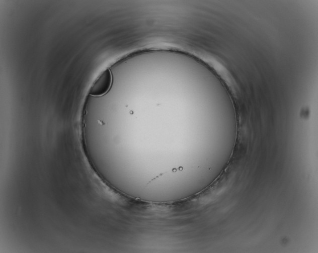 X0000101681191200807241338