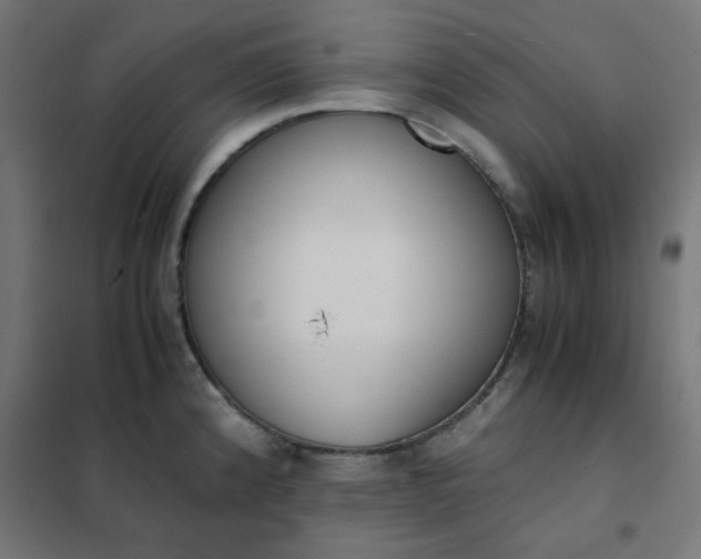 X0000101681192200807241338