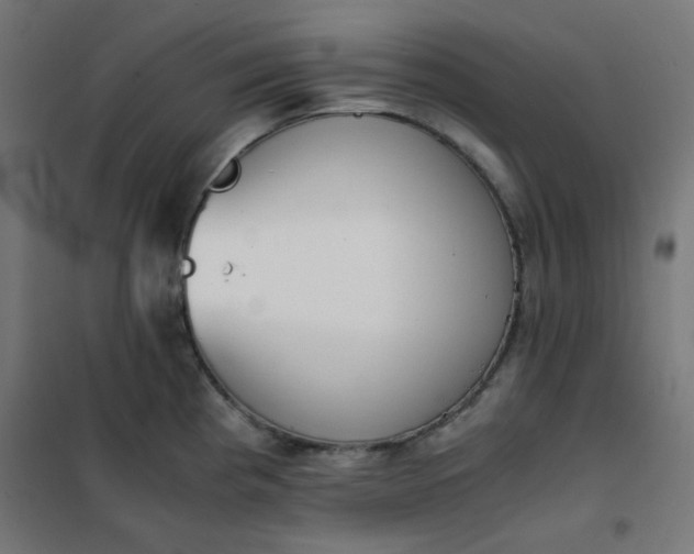 X0000101681193200807241338