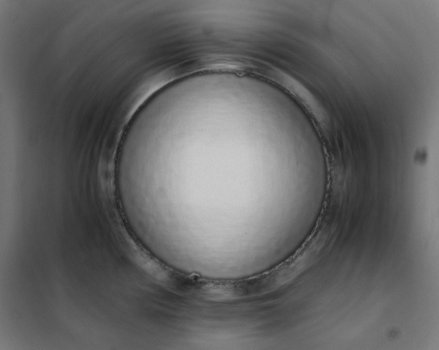 X0000101681194200807241338