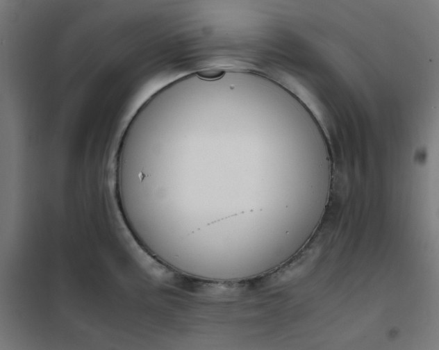 X0000101681195200807241338