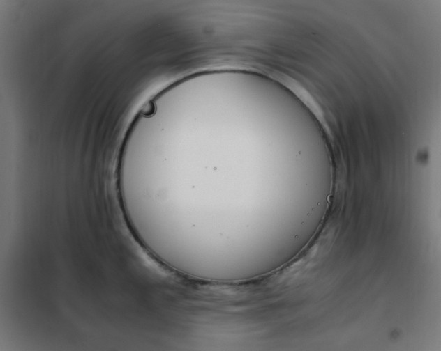 X0000101681197200807241338