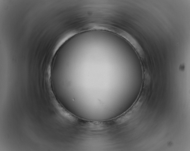 X0000101681198200807241338