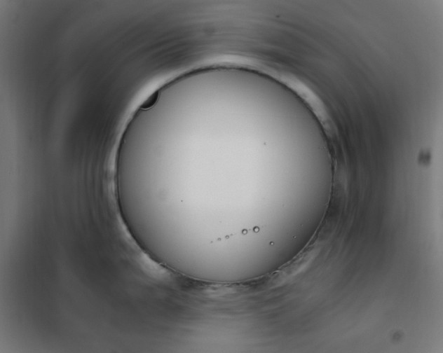 X0000101681199200807241338