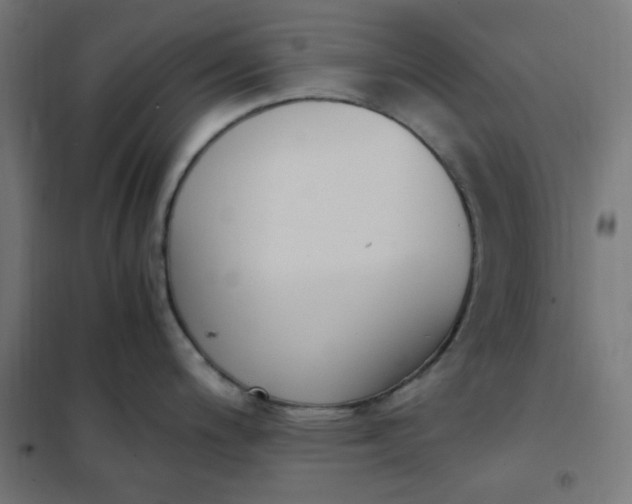 X0000101681200200807241338