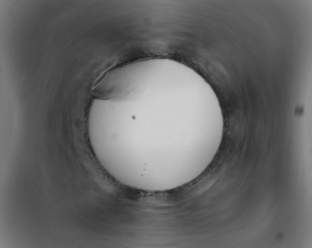 X0000101681201200807241337