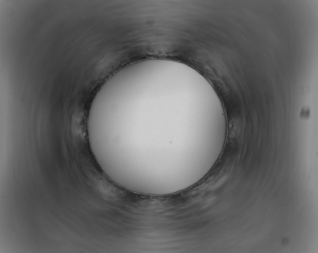 X0000101681202200807241337