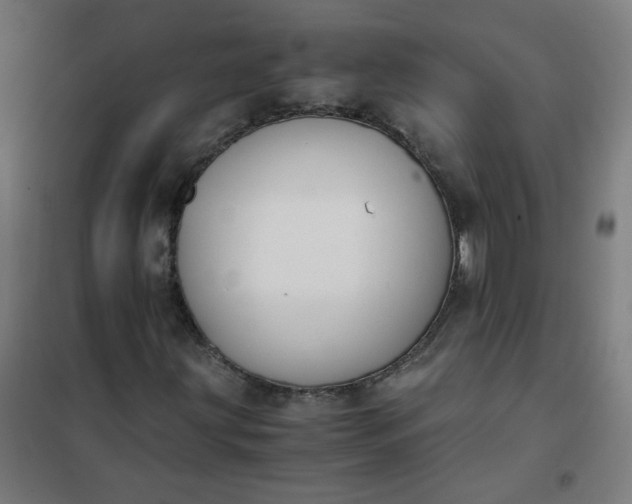 X0000101681203200807241337