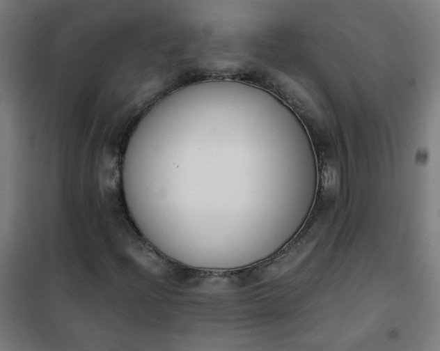 X0000101681204200807241337