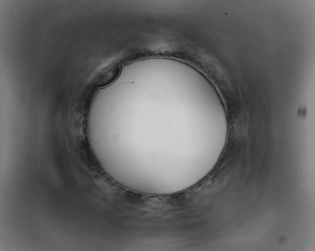 X0000101681205200807241337