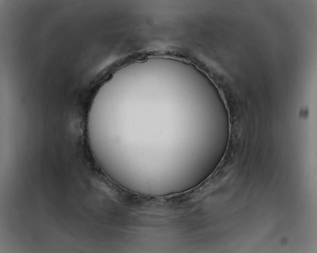 X0000101681206200807241337