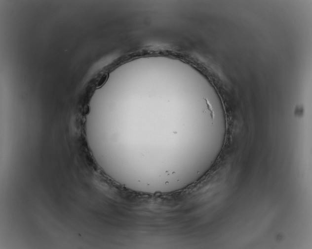 X0000101681207200807241337