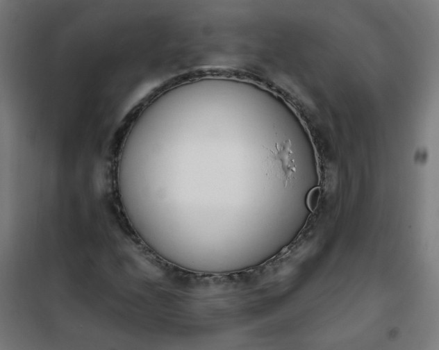 X0000101681208200807241337