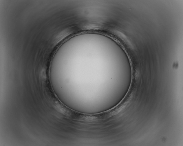 X0000101681209200807241337