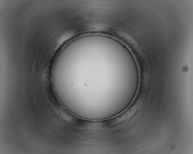 X0000101681210200807241337