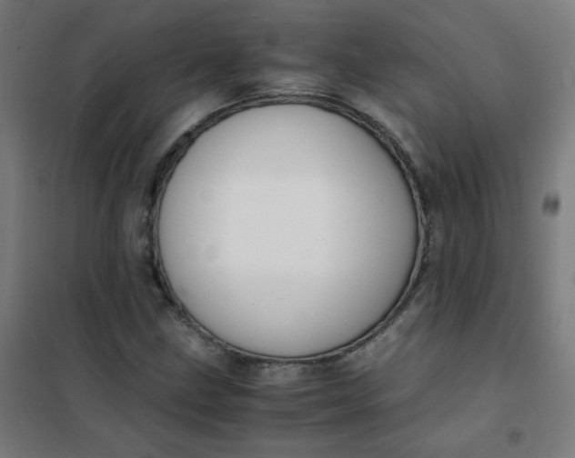 X0000101681211200807241337