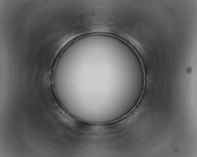 X0000101681212200807241337