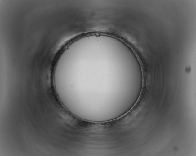 X0000101681214200807241337