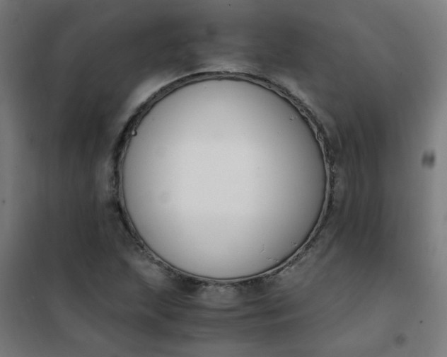 X0000101681215200807241337