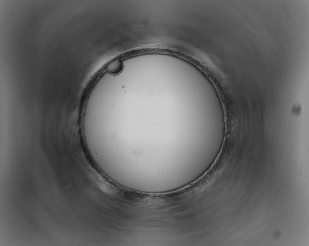 X0000101681216200807241337