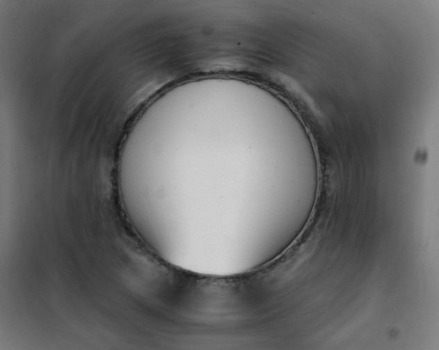 X0000101681217200807241338