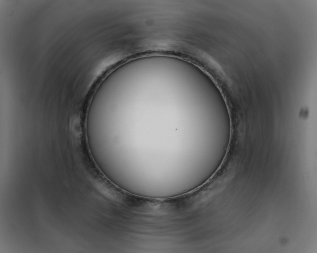 X0000101681218200807241338