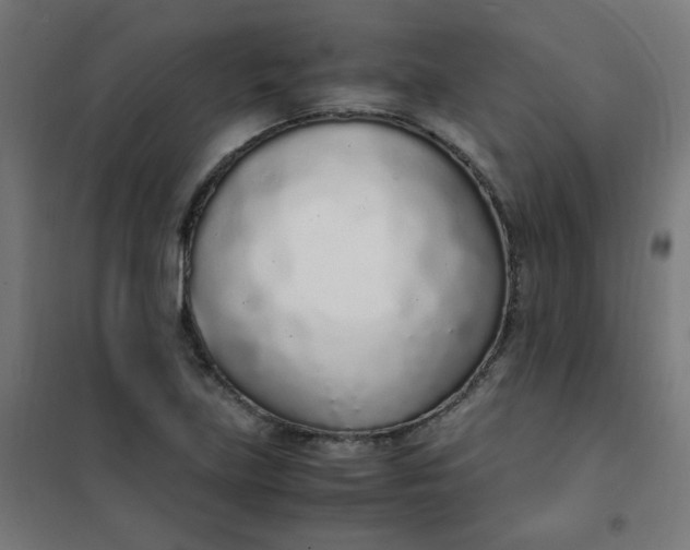 X0000101681219200807241338