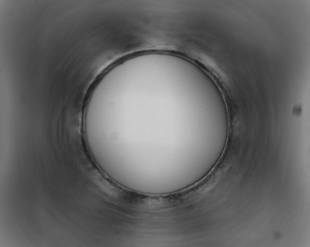 X0000101681220200807241338