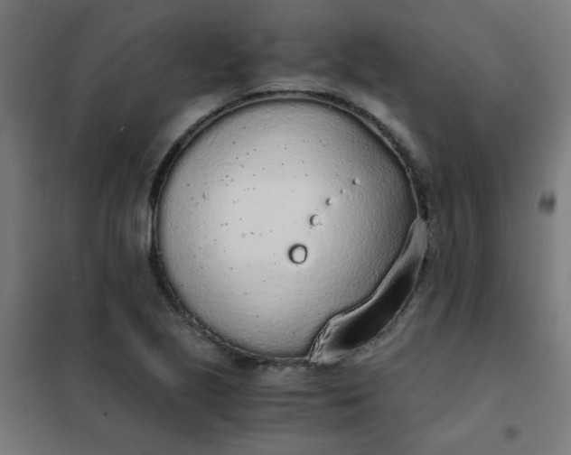 X0000101681221200807241338