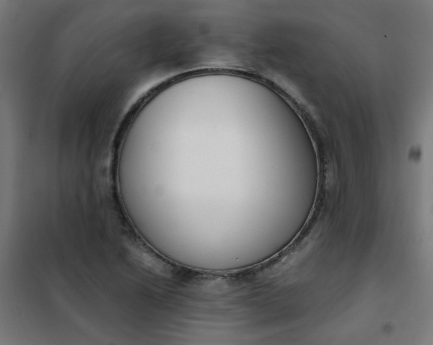 X0000101681222200807241338