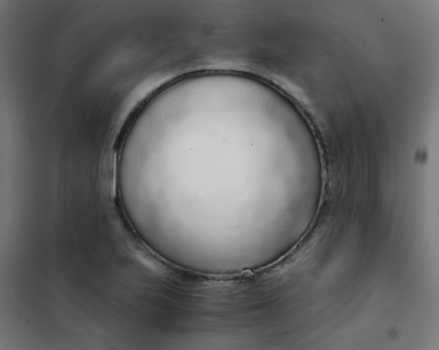 X0000101681223200807241338