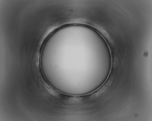 X0000101681224200807241338