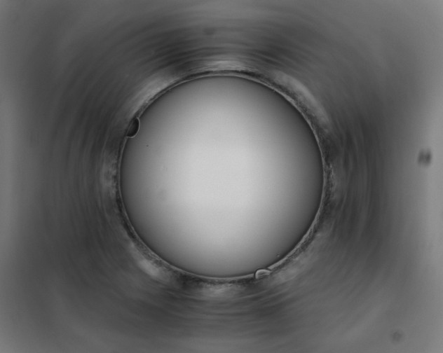 X0000101681225200807241338